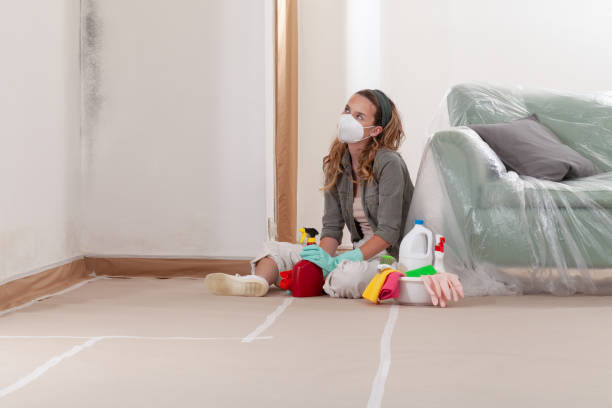 Reliable Black Mold Removal contractor in Fair Lawn, NJ by WQB Mold Removal